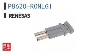 P8620-R0NLGI