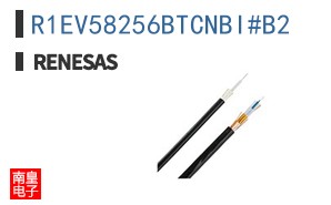 R1EV58256BTCNBI#B2