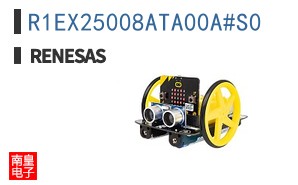 R1EX25008ATA00A#S0