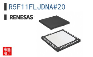R5F11FLJDNA#20