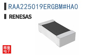 RAA225019ERGBM#HA0