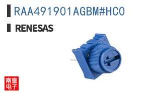 RAA491901AGBM#HC0