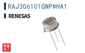 RAJ306101GNP#HA1
