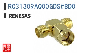 RC31309AQ00GDS#BD0