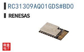 RC31309AQ01GDS#BD0
