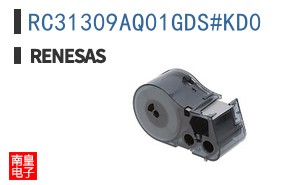RC31309AQ01GDS#KD0