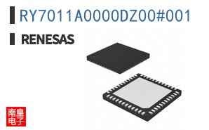 RY7011A0000DZ00#001
